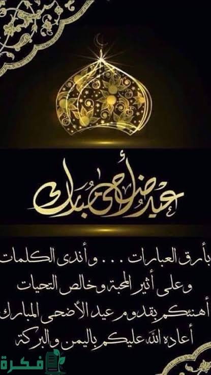 Mohamed Solaimen_1ke1s