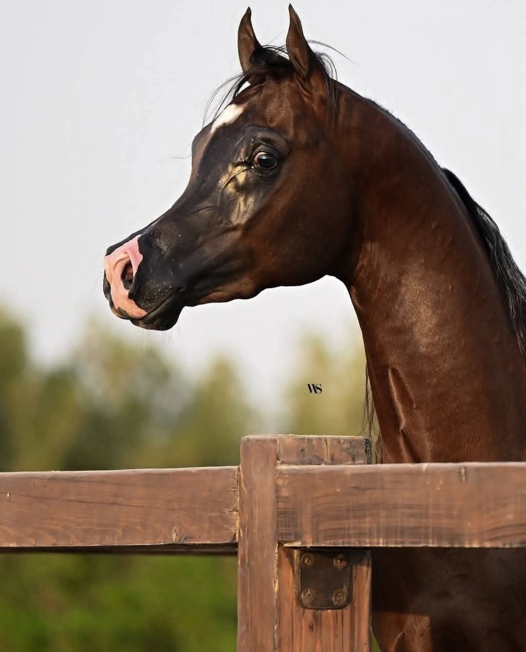 ���� ����_kQP0j